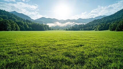 Fototapeta premium Sunny meadow, mountain backdrop, tranquil scene, nature background, travel poster