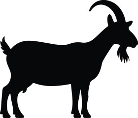 Silhouette of a goat. Vector illustration on white background.