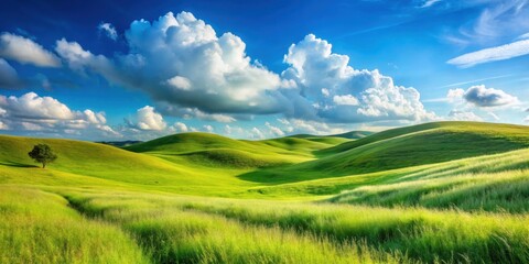 Obraz premium Rolling hills with tall grass and a bright blue sky with few white clouds