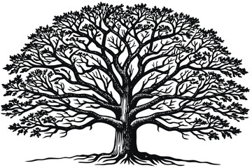 Obraz premium Black Tree Silhouette Isolated on White Background Illustration