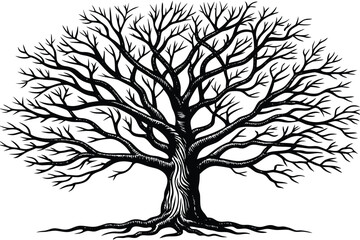 Obraz premium black silhouette tree isolated on white background 