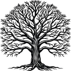 Obraz premium Tree silhouettes Vector illustration