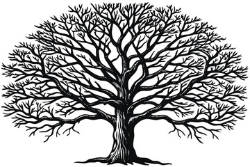 Obraz premium Tree silhouettes Vector illustration