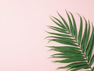 Tropical Elegance on a Soft Pink Background