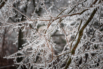 Ice storm