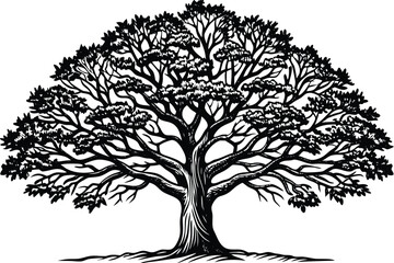 Obraz premium trees silhouette vector isolated on white background