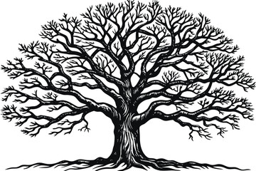 Obraz premium trees silhouette vector isolated on white background