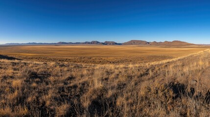 Panoramic view of vast, arid desert landscape under a clear blue sky.