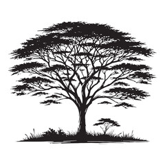 Artistic Acacia Tree silhouette for elegant design ideas - acacia tree silhouette - acacia tree vector - acacia tree illustration - Acacia silhouette - Acacia vector
