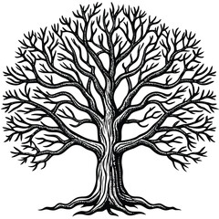 Obraz premium vector Tree silhouette isolated on white background