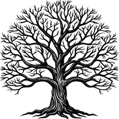 Obraz premium vector Tree silhouette isolated on white background