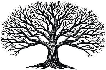 Obraz premium tree silhouette isolated on white background