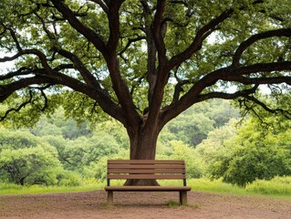 A serene landscape featuring a wooden bench beneath a large, leafy tree, inviting relaxation in nature's beauty.