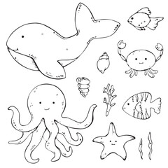 illustrations of marine animals