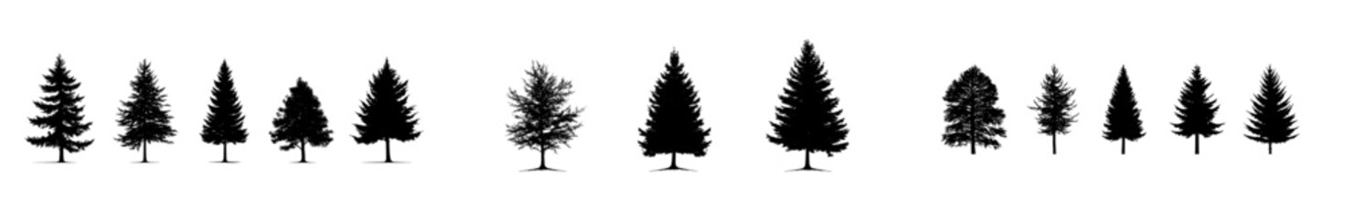 Silhouettes showcase fir trees with varied forms. Types of cypress trees stand out on an isolated backdrop