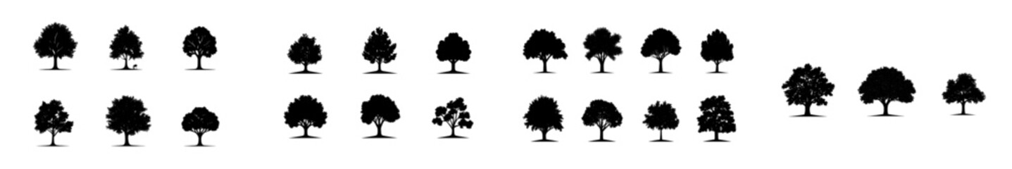 Bodhi Tree silhouette modern art illustration bundle set