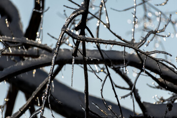 Snow and Ice on the farm
