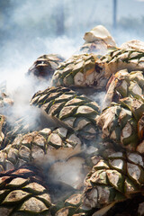 Traditional form of cooking maguey agave for the production of mezcal in the central valley of Oaxaca.