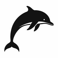 dolphin isolated on white