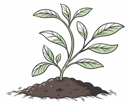 recommend clip art: Growing Young Plant in Soil isolated on white background.