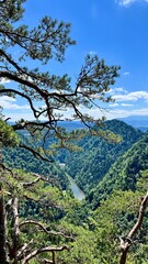 Vertical photo of mountains and the Dunajec River seen from the trail between Mount Sokolica and Mount Trzy Korony in Pieniny National Park, Poland. Perfect for hiking, travel, and nature themes. © Krystsina_Semianiuk