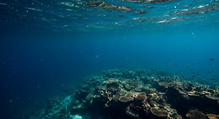 Stunning underwater reef scene.  Deep blue ocean, vibrant coral, and colorful fish.