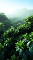 Obraz premium Layered canopy, varying textures in jungle treetops, 3D illustration