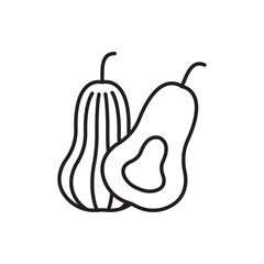 Butternut squash icon Flat vector set outline