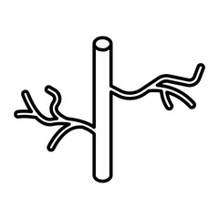 Fototapeta premium human artery icon Flat vector set outline