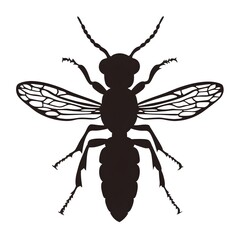 Fototapeta premium dragonfly vector illustration