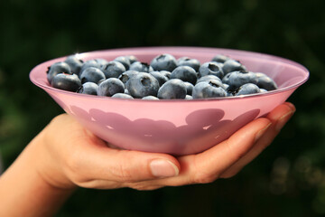 Hand holding a pink glass bowl with blueberries