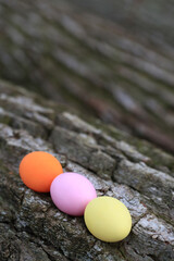 Three traditional painted Easter eggs on a birch bark