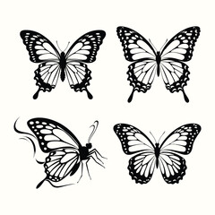 Obraz premium butterfly silhouette set. butterfly vector illustration. butterfly isolated vector on white background