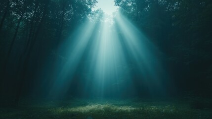 Fototapeta premium Mystical Forest: Sunbeams Piercing Through the Fog
