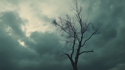 A solitary bare tree under dramatic stormy skies, evoking a sense of desolation and mystery.