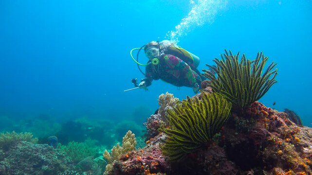 Diving near the islands of Apo and Negros. Philippines. 