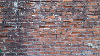 dull and porous house walls