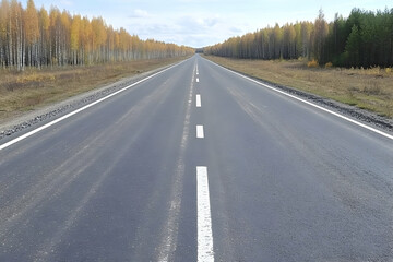 Fototapeta premium Autumn Road Photo: Asphalted Highway Through Forest