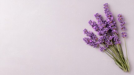 Fototapeta premium Fresh lavender flower bouquet arranged on a light purple textured background with copy space.