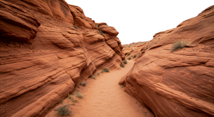 Canyon Sandstone Trail