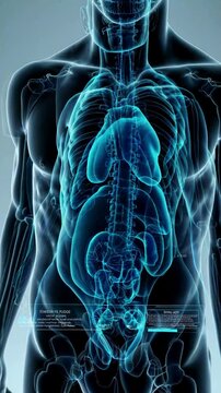 Cross-section view, Medical diagnostic overlay on body scan, cool clinical blues with vital sign readouts, professional medical atmosphere.
