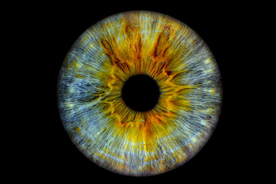 Close up of eye iris on black background, macro, photography	