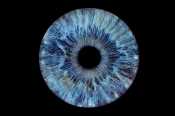 Close up of eye iris on black background, macro, photography	
