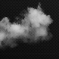 Vector realistic cloud, smoke or fog on isolated transparent background. Cloud png. Smoke png