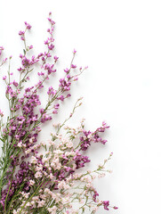 Obraz premium Elegant Arrangement of Intertwined Scottish Heather with Soft Purple Flowers