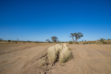 South Africa, Botswana, Kgalagadi Transfrontier Park, Roads of the park