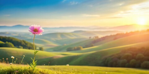 Obraz premium Serene Sunrise A Single Pink Flower Blooms Amidst Rolling Hills and Golden Light