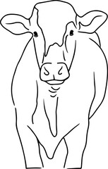 Vector linear cow icon that looks straight ahead