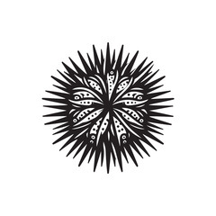 Obraz premium Black Color Sea Urchin silhouette design Vector Illustration, Solid White Background (2).eps