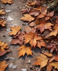 Frozen leaves on the ground with a brown color, winter landscape, winter wonderland